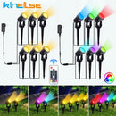 Axyaa LED RGB Lawn Spike Lamp for Garden Landscape, Remote Control, Waterproof IP65