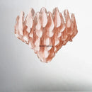 Axyaa Nordic Petal Pendant Chandelier LED Ceiling Lamp - Retro Luxury Living Room Decor