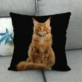 Fat Orange Cat Print Cushion Cover 45x45cm by Axyaa: Animal Pattern Home Decor Pillowcase