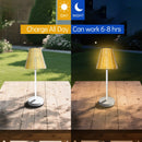 Axyaa Solar Table Lamp Night Light: Garden, Patio, Balcony, Camping, Holiday Gift