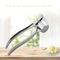 Axyaa Stainless Steel Garlic Press Squeezer Mincer Tool for Kitchen