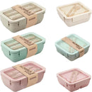 Axyaa Wheat Straw Bento Lunch Box Food Storage Container-Kids & Microwave Friendly