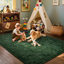 Axyaa Plush Green Area Rug for Modern Home Decor & Cozy Living Spaces