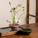 Axyaa Lotus Root Clay Bowl Vase for Hydroponic Floral Arrangements & Home Decor