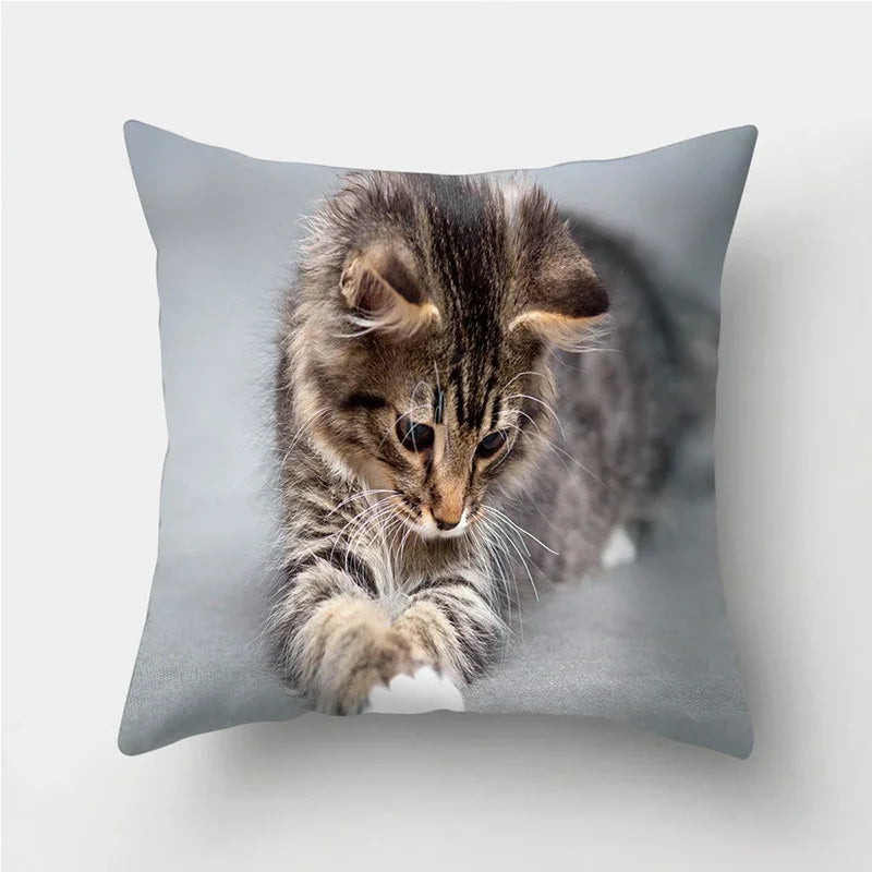 Cute Cat Print Cushion Cover for Sofa Decor by Axyaa