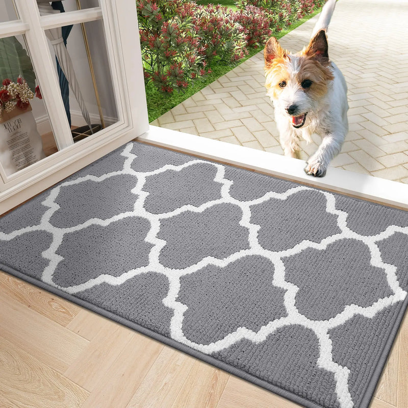 Axyaa Super Absorbent Microfiber Large Doormat 61x120 Washable Entrance Rug