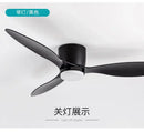 Axyaa Large Retro Ceiling Fan for Living Room - Simple Design Electric Ceiling Lamp