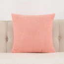 Axyaa Plush Cushion Cover for Home Decor - 40x40cm & 60x60cm Sizes