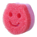 Axyaa Kitchen Sponge Cloth Brush Set - Anti Fouling Double-sided Cleaning Tool