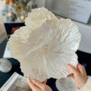 Axya Nordic Crystal Flower Tray: Elegant Glass Fruit Plate for Stylish Home Decor.