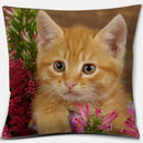 Axyaa Cat Series Pillowcase: Cute Living Room Sofa Cover for Home Decoration