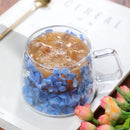 Axyaa Double Layer Glass Coffee Cup with Handle - High Temp Milk Mug