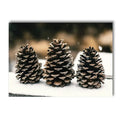 Nordic Winter Forest Wood Wall Art Print by Axyaa