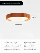 Axyaa Nordic LED Ceiling Light - Minimalist Design for Modern Living Room and Bedroom