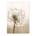 Axyaa Beige Dandelion Bunny Tail Grass Canvas Art Print Nordic Flower Poster