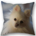 Axyaa Pomeranian Dog Pillowcase Cotton Linen Square Zipper 45X45cm Wedding Decor Pillow cover