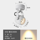 Axyaa LED Ceiling Spotlight: Adjustable Living Room Bedroom Downlight