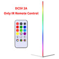 Axyaa Modern RGB LED Floor Lamp for Home Decoration