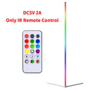 Axyaa Modern RGB LED Floor Lamp for Home Decoration