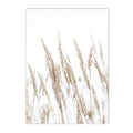Nordic Reed Grass Landscape Canvas Wall Art Print for Living Room Decor by Axyaa