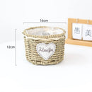 Axyaa Hand-woven Straw Flower Pots | Eco-Friendly Plant Fiber Baskets & Ornaments
