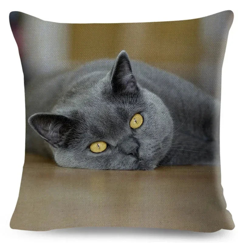 Axyaa Fold Ear Cat Pillow Covers - Set of 2 Cute Pet Pillowcases