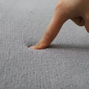 Axyaa Gray Coral Fleece Living Room Rug for Sofa, Coffee Table, Kids Bedroom