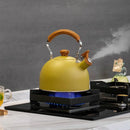 Axya Electric Kettle with Whistle, Stainless Steel, Camping Cookware