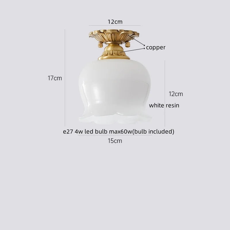 Axyaa Copper Glass LED Ceiling Lamp - Modern Indoor Lighting Fixtures