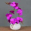 Ceramic Butterfly Orchid Vase for Home Decor Axyaa Orchid Collection