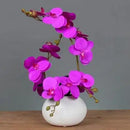 Ceramic Butterfly Orchid Vase for Home Decor Axyaa Orchid Collection