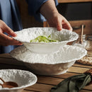 Axyaa Ceramic Noodle Bowl Set - High-End Tableware for Restaurant and Home