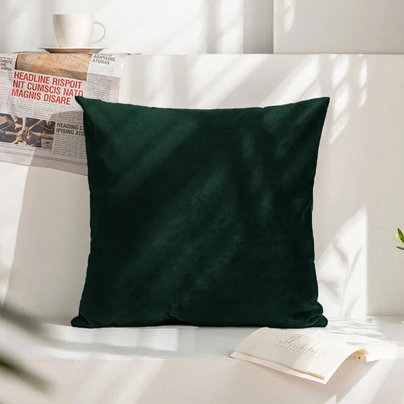 Velvet Cushion Cover for Sofa Living Room, 30x50cm Decorative Pillows by Axyaa