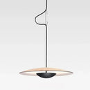 Axyaa Modern Pendant Lamp - Nordic Design Hanging Chandelier Light