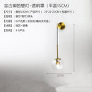 Axyaa Nordic Gold LED Wall Lamp Modern for Living Room Bedroom Home Decor