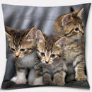 Axyaa Cat Series Pillowcase: Cute Living Room Sofa Cover for Home Decoration
