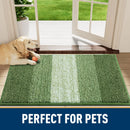Axyaa Non-Slip Indoor Entrance Mat Washable Low-Pile Absorbent Door Mat
