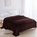 Axyaa Super Soft Reversible Mink Fleece Throw Blanket Twin Queen Size