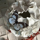 Axyaa Ceramic Petal Folds Vase Home Decoration Handicraft
