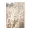 Axyaa Reed Lion Landscape Canvas Print Wall Art for Nordic Living Room Decor