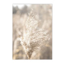 Axyaa Reed Lion Landscape Canvas Print Wall Art for Nordic Living Room Decor