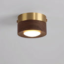 Axyaa Modern LED Ceiling Lights for Home Decor, Indoor Chandelier Lamp