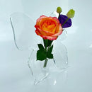 Modern Minimalist Axyaa Acrylic Butterfly Vase for Stylish Living Room & Bedroom Decor