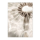 Axyaa Dandelion Reed Canvas Print Nordic Wall Art for Home Decor