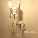 Axyaa Monkey Pendant Lamp: Hemp Rope Creative Wall Sconce Light