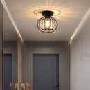 Axyaa Nordic Modern Ceiling Light Acrylic Indoor Lamp for Home Decor