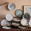 Axyaa Ceramic Vegetable Plates for Japanese and Western Dining with Minor Flaws