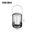 Axyaa Portable Rechargeable LED Camping Tent Light - Flame Effect Outdoor Lamp