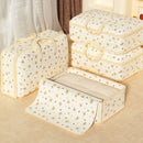 Axyaa Portable Wardrobe Organizer Clothing Storage Bag | Dustproof Home Storage Box