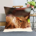 Cute Cat Print Pillowcase by Axyaa - Perfect for Home, Car, and Sofa